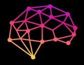 A colorful line art of a brain

Description automatically generated